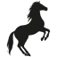 wldhorse.com favicon