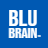 blubrain.co.uk favicon