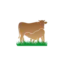 ganderiaosbravos.com favicon