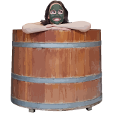 sofiebadet.dk favicon