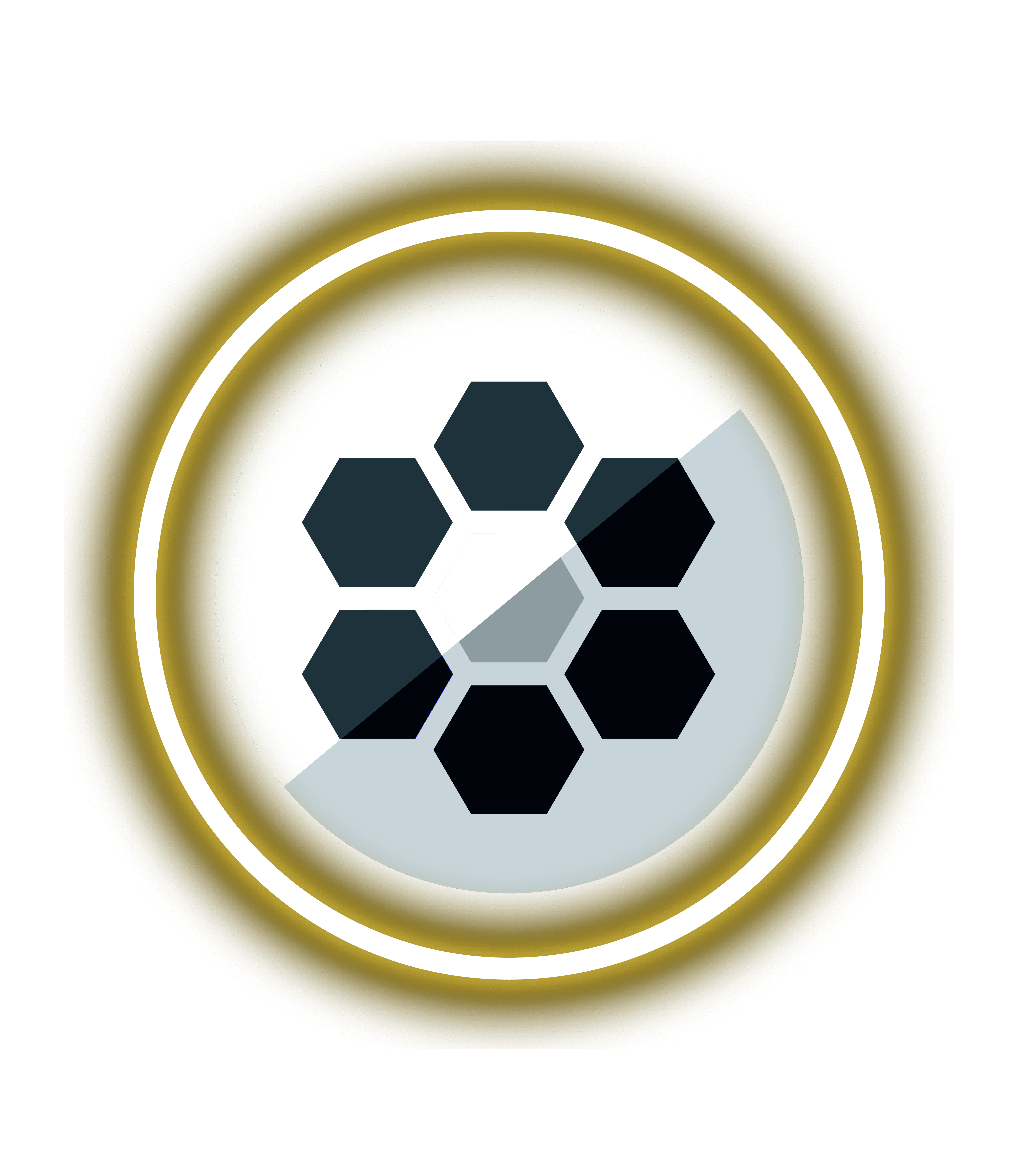 speakhyve.io favicon