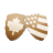 wintersportcanadaamerika.nl favicon