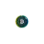 bitcoin-rush.org favicon