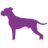 broadwayvetgroup.co.uk favicon