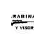 carabinasyvisores.com favicon