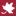 goldencharter.co.uk favicon