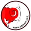 latestata.it favicon