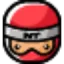 ninjacustom.com favicon