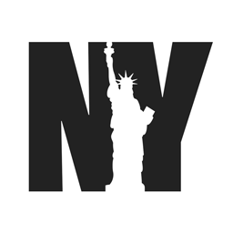 nyspins.com favicon