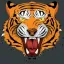 ranthambhorenationalpark.in favicon