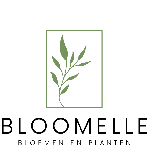 bloomelle.nl favicon