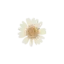 eljardindeelisa.com favicon