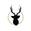 redlibbets.co.uk favicon