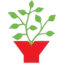 thymes.dk favicon