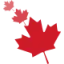 certifiedturkish.ca favicon