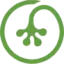 summitgecko.com favicon