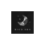wildskyclub.com favicon
