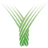 yaamava.com favicon