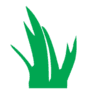 grassbarbers.co.uk favicon
