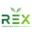 evchargingexperts.co.uk favicon