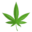 grashugel.com favicon