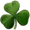 shamrockplumbingfl.com favicon