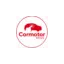 balearrentacar.com favicon