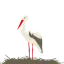 chambre-vignoble.com favicon