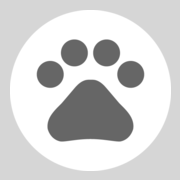 curiouscatapp.com favicon