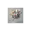 donatelladalsoglio.it favicon