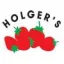 holgers.net favicon