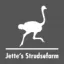 jettesstrudsefarm.dk favicon
