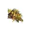 leicesterfuneralflowers.co.uk favicon