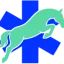 veterinaricavallih24.it favicon
