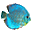 aquaristikshop.de favicon