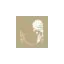 bottegalorenzini.com favicon