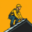 dakdekkerzwolle.net favicon