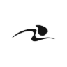 teamcycles.com favicon