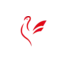 kotes.gr favicon
