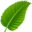 sanadigest.com favicon