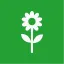 staudefeen.dk favicon