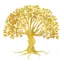 tech-magister.com favicon