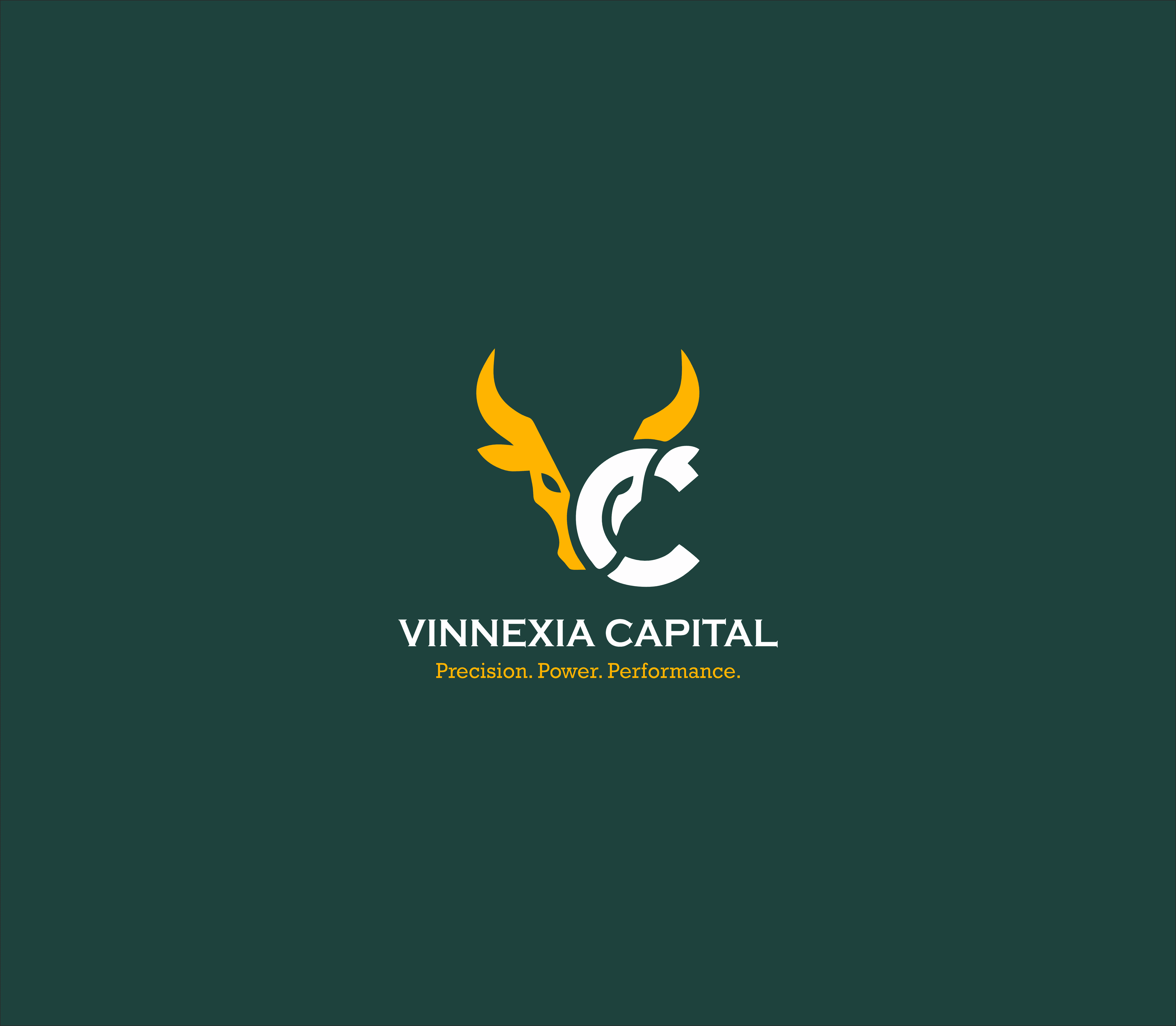 vinnexiacapital.com favicon