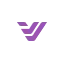 voitneuro.com favicon