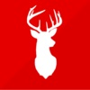 buerado.de favicon