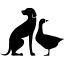 chamvermeil.com favicon