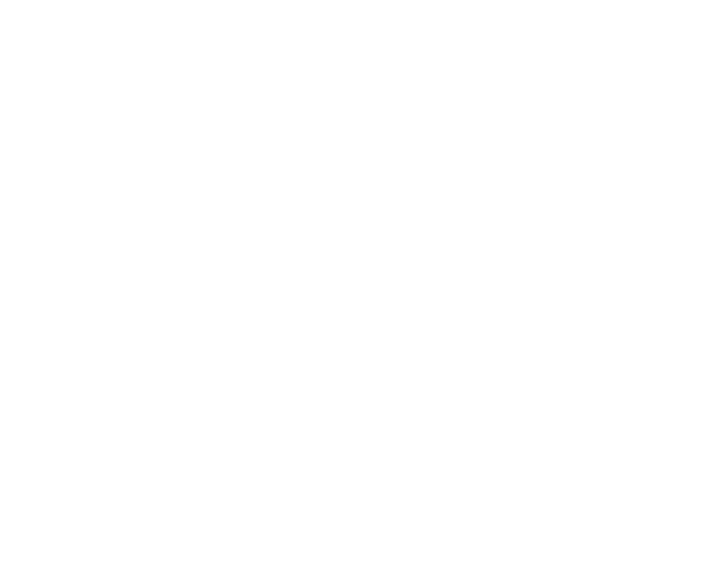 disino.nl favicon