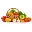 grigno-tek.com favicon