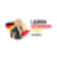 learngermanfast.de favicon