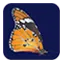 maths-bac.com favicon